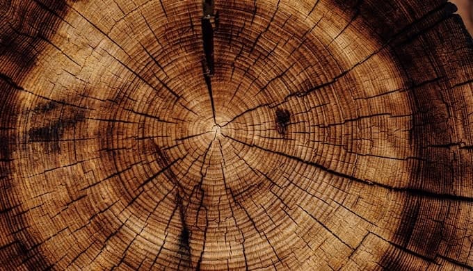 wood-circle